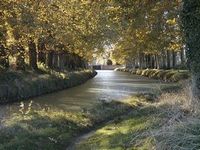 Canal du Midi, à gauche le Chemin de la flegme, au centre vers l'écluse ronde d'Agde, à droite le Bois de Boulogne. Taken by: Xvolks.